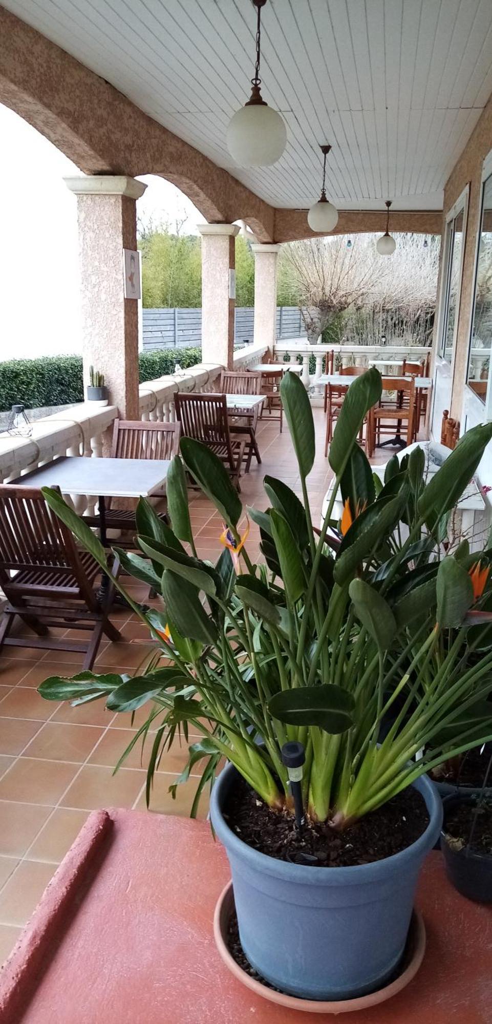Le Grand Jardin Hotel Aujargues Luaran gambar